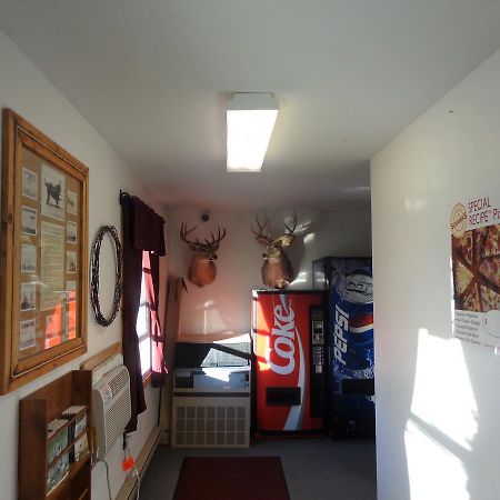 Tipperary Lodge Buffalo Екстериор снимка